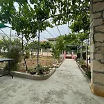 Apartamento Apartman Pcelica *
